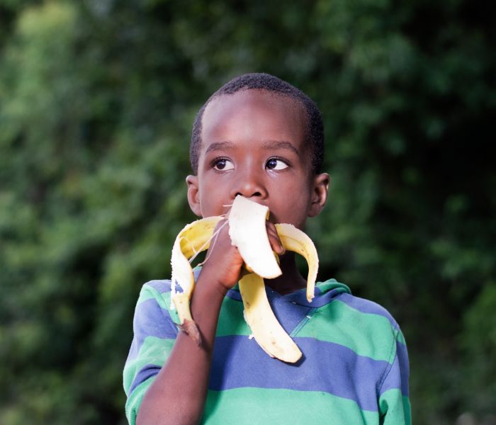 Duas bananas por dia: Estudo revela mais benefícios dessa fruta em nossa vida!